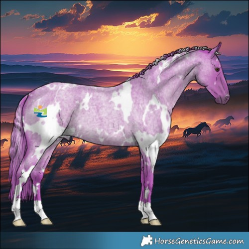 Horse Color:Watercolor White Spotted Liver Red Roan