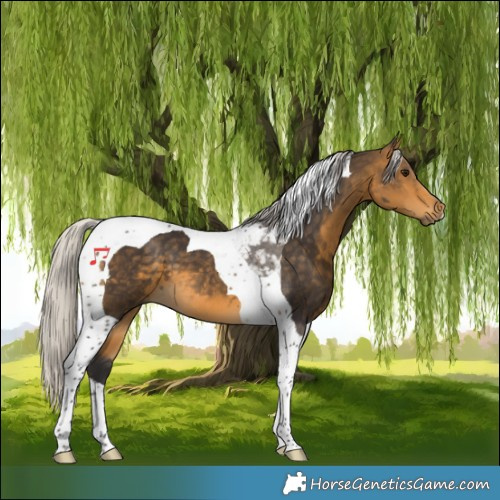 Horse Color:Silver Buckskin Tobiano 