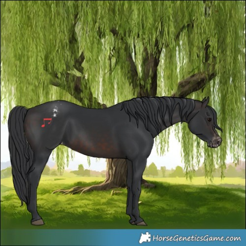 Horse Color:Brown Varnish