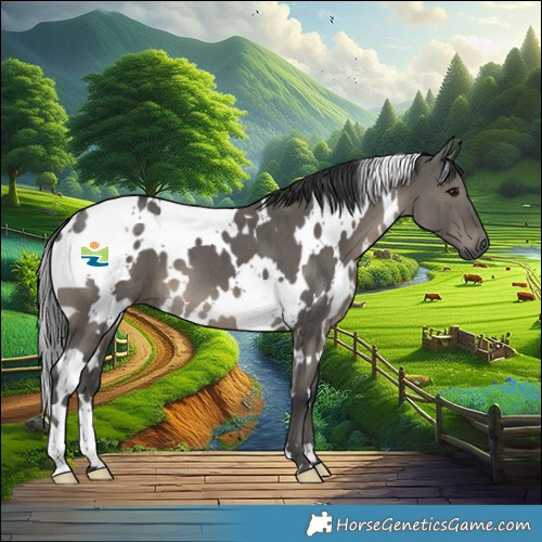 Horse Color:White Spotted Grullo Brindle 