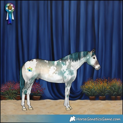 Horse Color:Painted White Spotted Brown Onyx