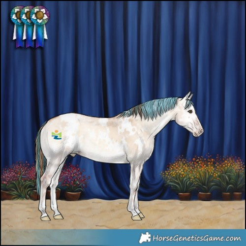 Horse Color:Painted White Spotted Gold Champagne Ice Onyx 