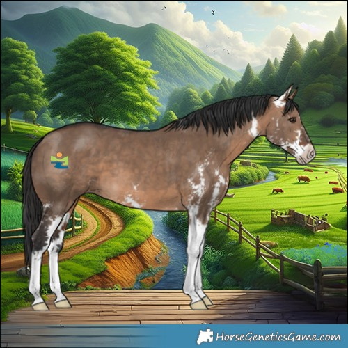 Horse Color:Brown Dun Sabino 