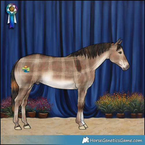 Horse Color:Plaid Liver Red Dun