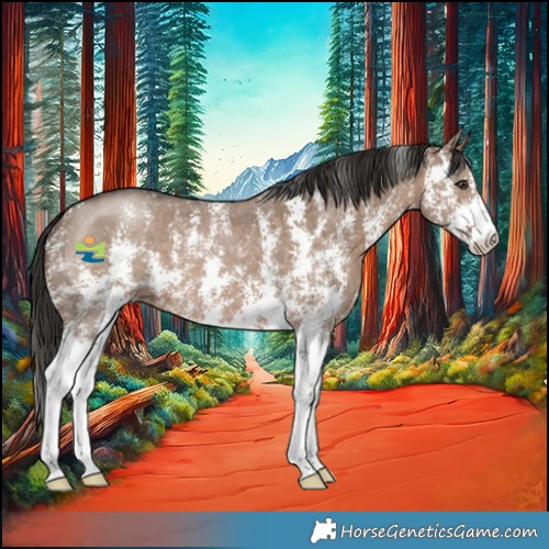 Horse Color:Liver Red Dun Sabino