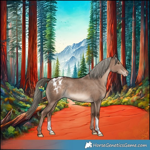 Horse Color:Liver Red Dun Mushroom Appaloosa