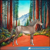 Horse Color:Liver Red Dun Mushroom Appaloosa 