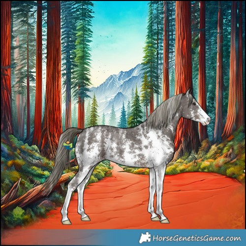 Horse Color:Liver Chestnut Mushroom Sabino 