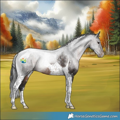 Horse Color:Brown Tobiano Snowflake Varnish Rabicano 