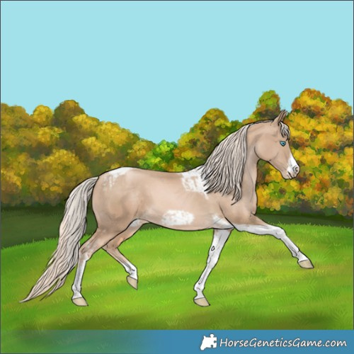 Horse Color:Chocolate Palomino Pearl Tobiano Frame  and Chocolate Palomino Pearl Tobiano Frame 