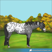 Horse Color:White Spotted Blue Roan Splash Frame Blanket 