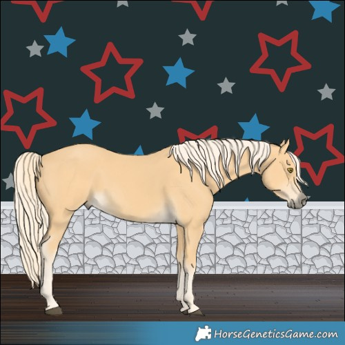 Horse Color:Pseudo Palomino