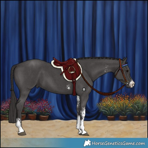 Horse Color:Smoky Black Sabino 