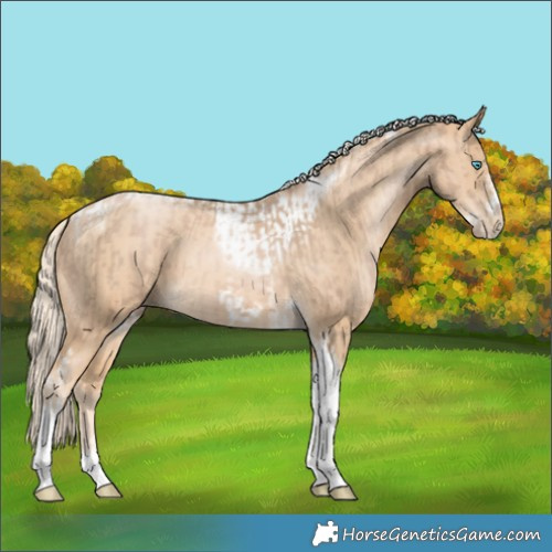 Horse Color:Chocolate Palomino Pearl Tobiano Frame and Palomino Pearl Tobiano Frame
