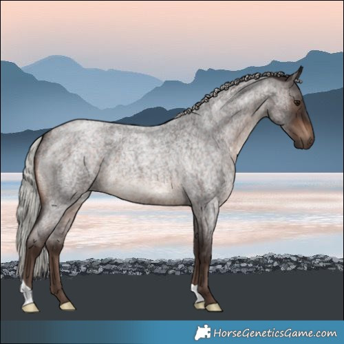 Horse Color:Silver Brown Roan