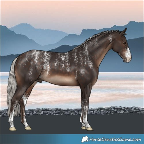 Horse Color:Powder White Silver Brown 