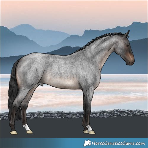 Horse Color:Brown Roan 