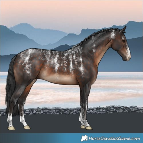 Horse Color:Powder White Brown 