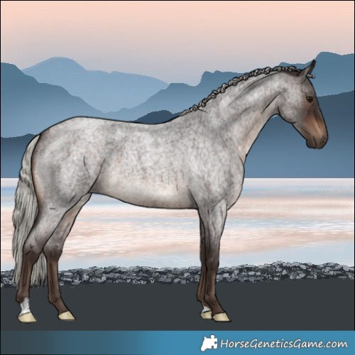 Horse Color:Silver Brown Roan 