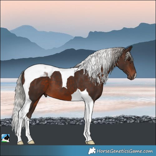 Horse Color:Silver Brown Tobiano