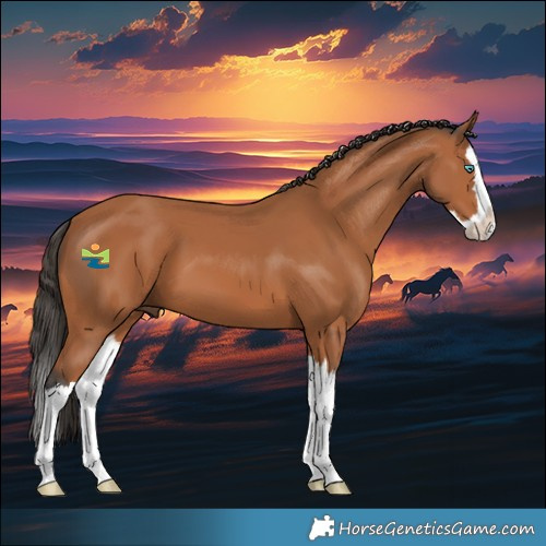 Horse Color:Bay Splash