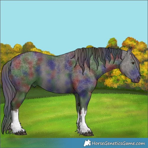 Horse Color:Nacre White Spotted Liver Chestnut 