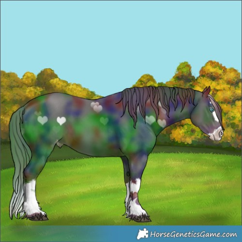 Horse Color:Nacre White Spotted Liver Chestnut Splash Skewed Appaloosa 