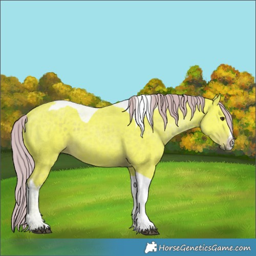 Horse Color:Watercolor White Spotted Liver Chestnut Tobiano 