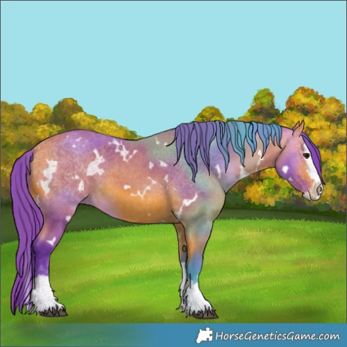 Horse Color:Watercolor White Spotted Bay Splash 