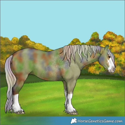 Horse Color:Nacre White Spotted Silver Bay Dun 