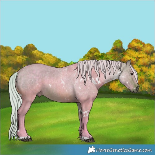 Horse Color:Watercolor White Spotted Silver Brown Dun 