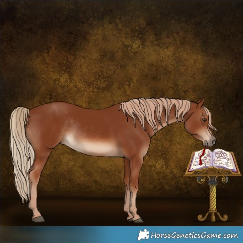 Horse Color:Chestnut Rabicano