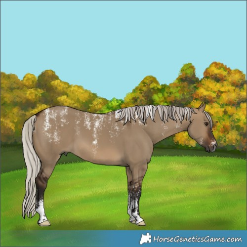 Horse Color:Powder White Gray Silver Bay Dun 