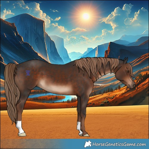 Horse Color:Liver Chestnut 