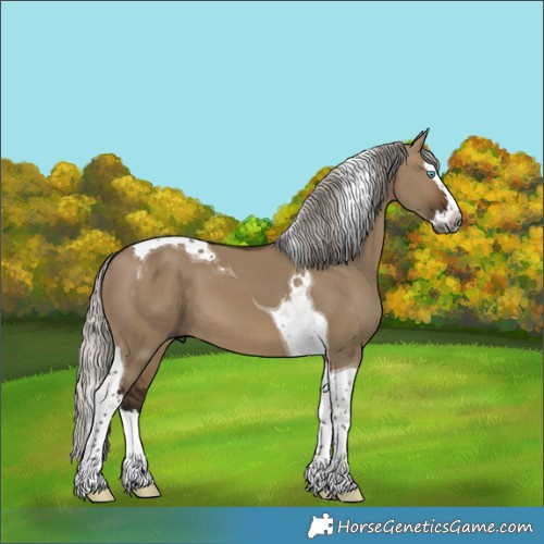 Horse Color:Gray Silver Brown Dun Splash Tobiano 