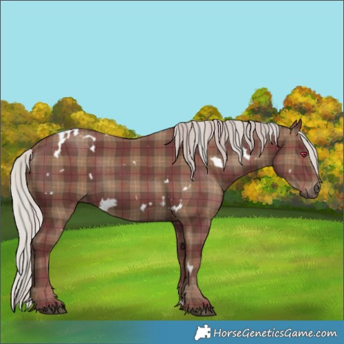 Horse Color:Plaid White Spotted Silver Black