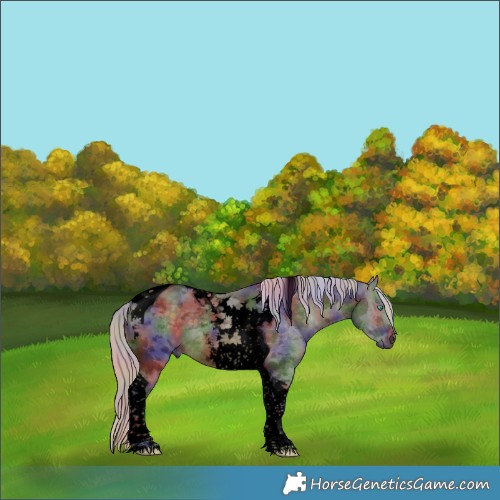 Horse Color:Void Nacre Silver Buckskin Merle Tobiano 