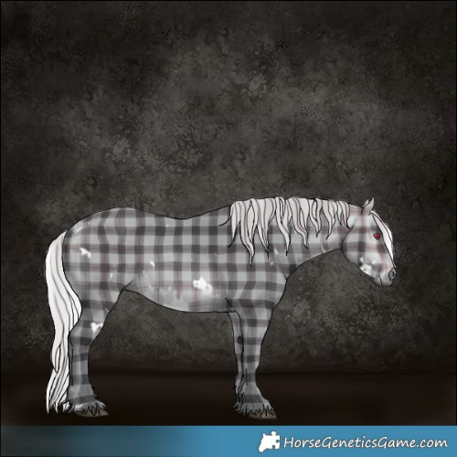 Horse Color:Plaid White Spotted Silver Brown Chinchilla