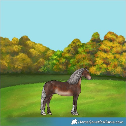 Horse Color:Silver Brown Tobiano 