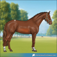 Horse Color:Chestnut Varnish