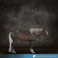 Horse Color:Gray Silver Black Tobiano
