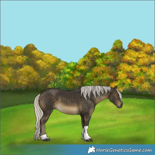 Horse Color:Silver Buckskin Tobiano 