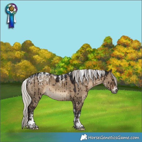 Horse Color:Powder White Gray Silver Brown Dun Rabicano Brindle 