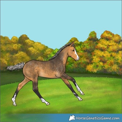 Horse Color:Silver Buckskin 