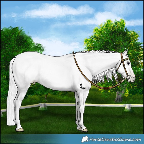 Horse Color:Platinum Silver Smoky Black Chinchilla Pearl