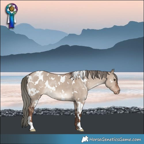 Horse Color:White Spotted Liver Red Dun Mushroom Blanket