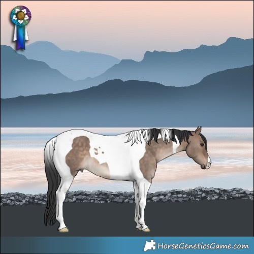 Horse Color:Brown Dun Mushroom Tobiano