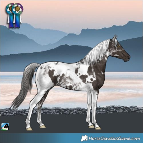 Horse Color:Gray White Spotted Liver Chestnut Tobiano Rabicano