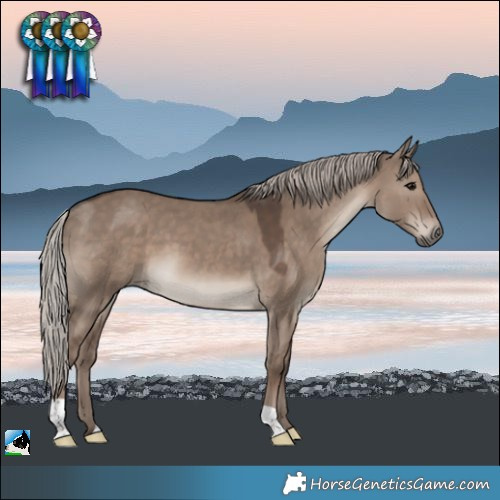 Horse Color:Silver Grullo