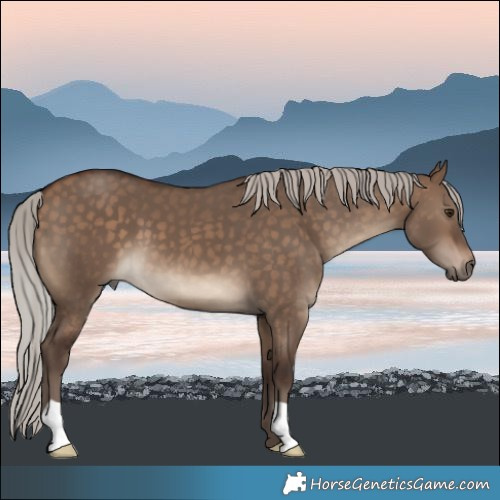 Horse Color:Silver Bay Dun 